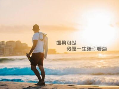 回忆过往：是否为我的坚持感到心酸。