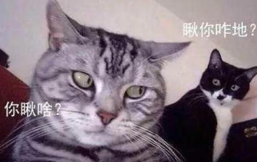 笑料满溢的十个段子，轻松一整天