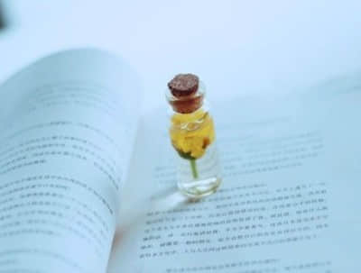 温馨情话配图：一瞬间的凝视，一生的陪伴