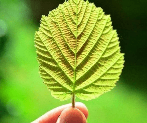 何谓教养?何来教养?怎样才算有教养?