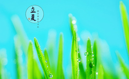 适合夏天到了发朋友圈的说说加图片