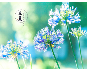 适合夏天到了发朋友圈的说说加图片