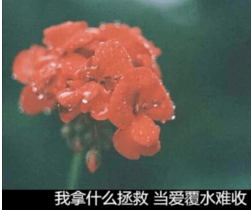 烦躁的心情说说加图片:空荡的人心没有感情好烦躁 烦躁的心情说说加图片:空荡的人心没有感情好烦躁