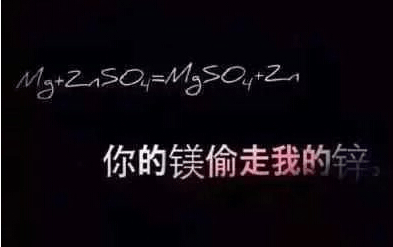 爱情感悟语录：与你携手，共享人生微笑