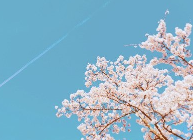 爱情感悟图片：不愿孤独依赖他人