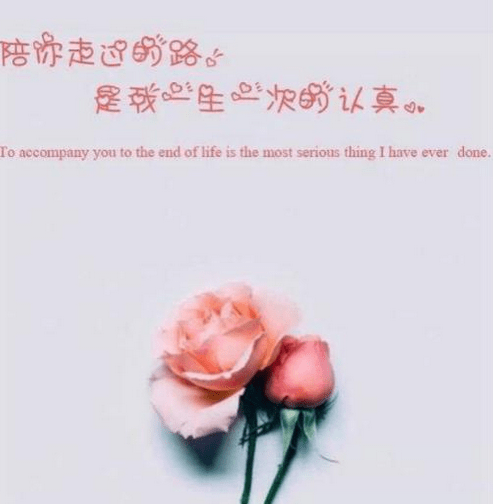 朋友圈超火的爱情美文：要么谈恋爱到结婚，要么高傲的单身