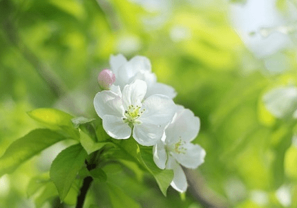 据说,一个男孩喜欢你,他会一直不叫你的名字 据说,一个男孩喜欢你,他会一直不叫你的名字
