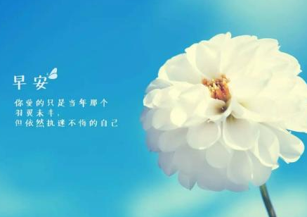 说早安的说说图片：早安和晚安，要比我爱你要暖入人心