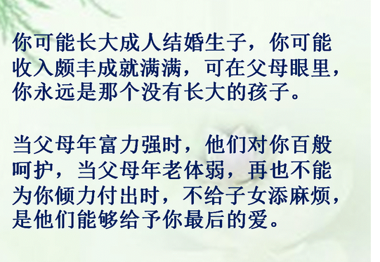 岁月无情 岁月无情