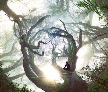 生活总是两难,再多执着,再多不肯,最终不得不学会接受 生活总是两难,再多执着,再多不肯,最终不得不学会接受