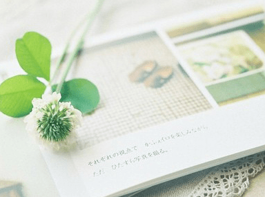 不要试图窥探我的生活，你能看见的，都是我想让你看见的