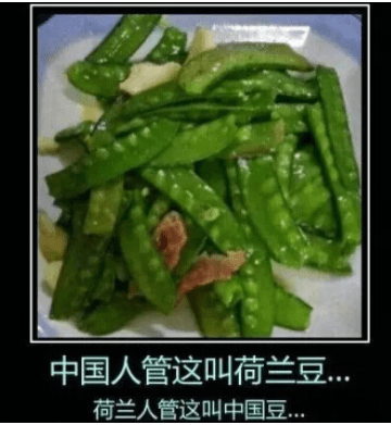 搞笑说说图片：我读书的料？