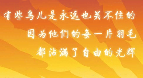 一些伤口之所以总会痛，那是因为你总是去摸