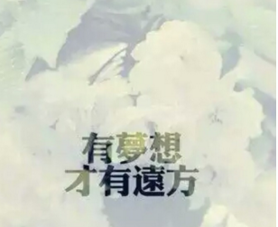 多谢你的绝情,让我也学会狠心... 多谢你的绝情,让我也学会狠心...