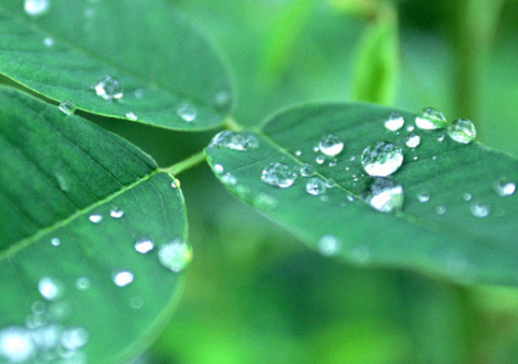 下雨的意象,如同心灵的脆弱 下雨的意象,如同心灵的脆弱