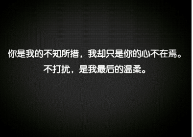 不打扰的温柔 不打扰的温柔