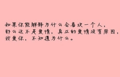 爱情的无理由 爱情的无理由