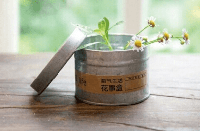 清新如画瞬间：南风轻拂，春意盎然，无人能及你