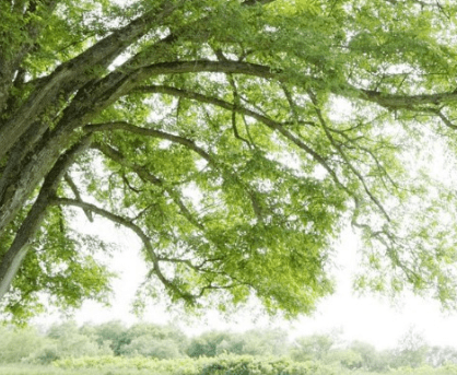 闭上你虚伪的嘴,避开你虚假的眼神,带着你虚假的情感,离开我的视线 闭上你虚伪的嘴,避开你虚假的眼神,带着你虚假的情感,离开我的视线