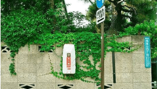 心灵鸡汤精选语录：努力成为更好的自己