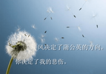 感悟人生哲理的图片 感悟人生哲理的图片