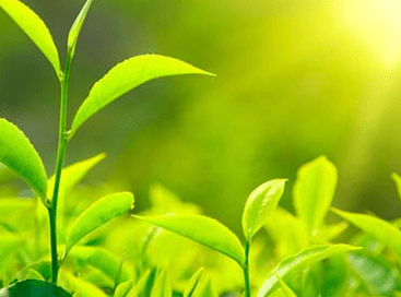 社交圈广为流传的心灵鸡汤：梦想与现实，全靠意志的力量