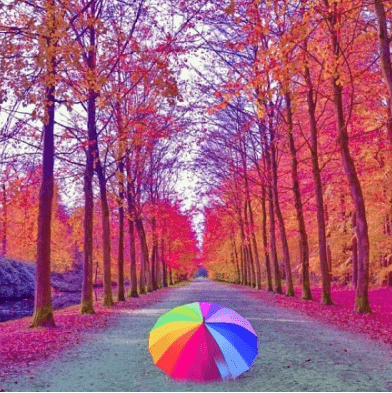唯美动人的说说图片:你跌跌撞撞一身的伤,就当是为青春,绘制的 唯美动人的说说图片:你跌跌撞撞一身的伤,就当是为青春,绘制的
