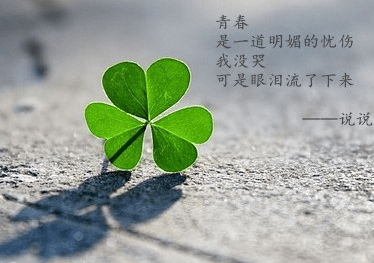 微信心情语录图片:有些人说的话,你却过于认真了 微信心情语录图片:有些人说的话,你却过于认真了