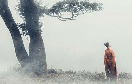 不要过分执着于那些微不足道的琐事,才能拥抱那真正的幸福! 不要过分执着于那些微不足道的琐事,才能拥抱那真正的幸福!
