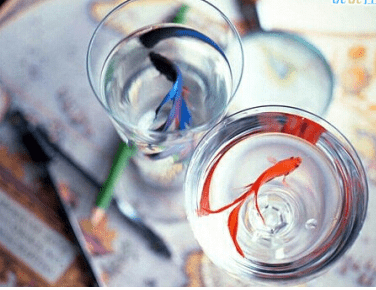 很火的说说图片：今天流的泪，都是昨天脑子里进的水