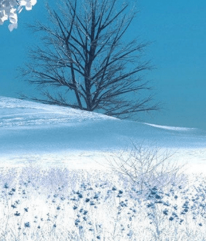 幽默心情语录：直面无厚度之脸皮，方显真装逼风范