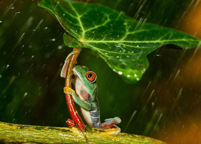明知道天要下雨就该带把伞，明知道不会有结果，就请别开始、