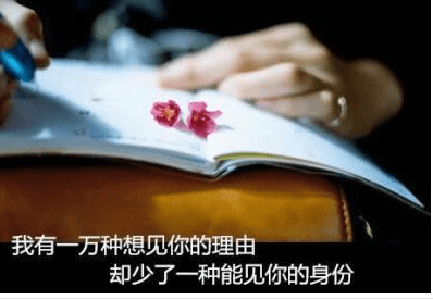 情感语录：无需道歉，我们本无关联
