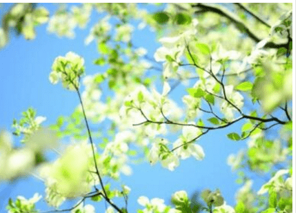 意境深远的话语图片:你拥有春花秋月,却不知她在梦中也见铁马冰河 意境深远的话语图片:你拥有春花秋月,却不知她在梦中也见铁马冰河