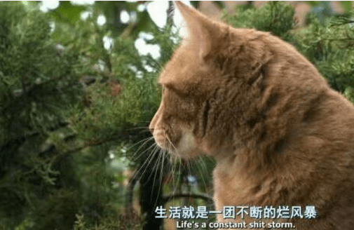 生活就是一团不断的烂风暴