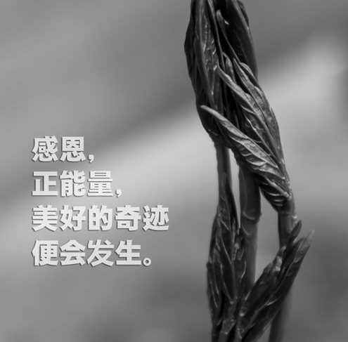 2018年洞察周遭的精辟短句! 2018年洞察周遭的精辟短句!