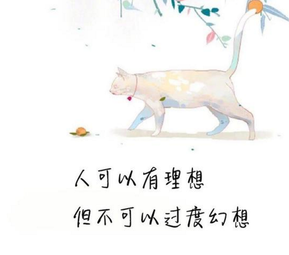 微信上很火的句子：心里若有了良人，眼里便全是路人