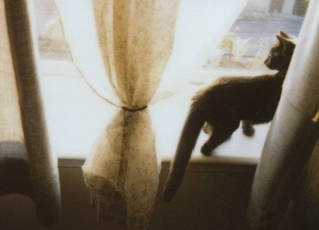 失恋心情说说图片：爱，或者不爱，只能自行了断...