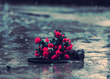 适合一个人下雨天看的说说:心痛的感觉,又出现在了这该死的雨季 适合一个人下雨天看的说说:心痛的感觉,又出现在了这该死的雨季