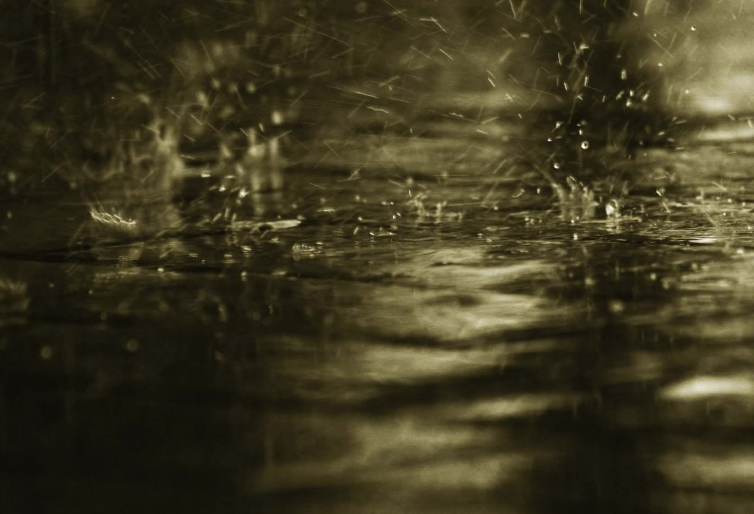 雨天心情语录：感受细雨绵绵的美好时刻