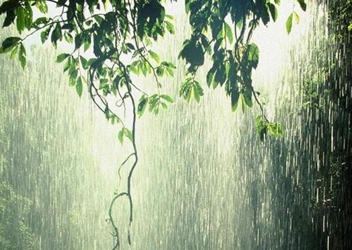 雨天独处时，这些心情说说让你共鸣