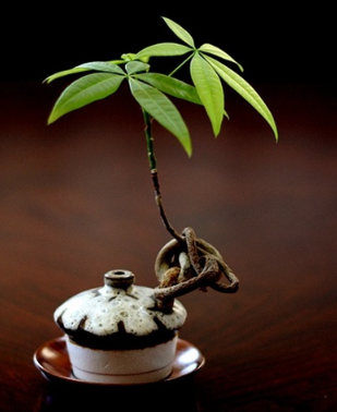 深刻感悟：有时候你最想得到的人，其实是你最应该离开的人