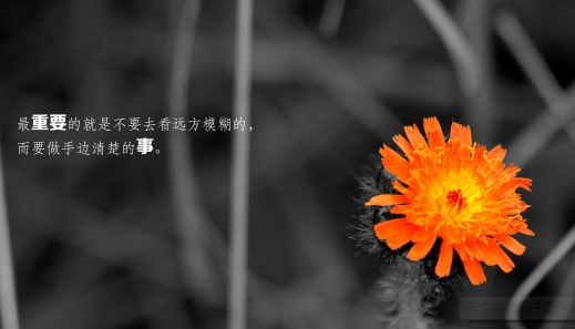 励志说说大全：有你，却比什么都好