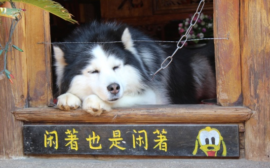 下雨天想对你告白的一句话:用最完美的谎言,顶替对迩的思念 下雨天想对你告白的一句话:用最完美的谎言,顶替对迩的思念