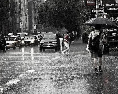 雨天感悟：独爱这雨天，那点点滴滴的泪水，都是你给予的痛楚。然而，风雨过后总能现彩虹。