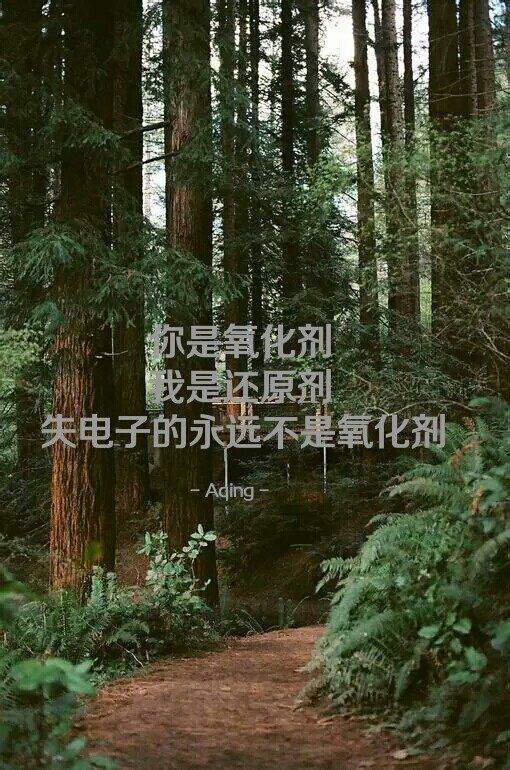 精选伤感说说图片