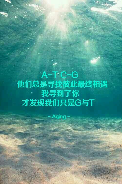 精选伤感说说图片