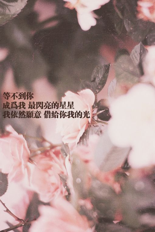 精选伤感说说图片