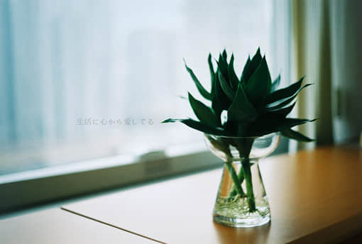 人生哲学与感悟