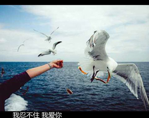 触动心灵的句子配图 触动心灵的句子配图